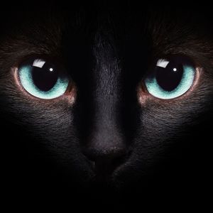 Meet your Posher, Wilma